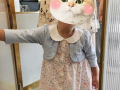 -飞行喵MR PILOT|猫舍·猫咖(静安大融城店)
