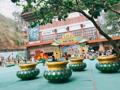 -西双版纳原始森林公园