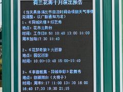 -荷兰花海