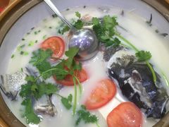 -全乐鱼馆·淳牌有机鱼直营店