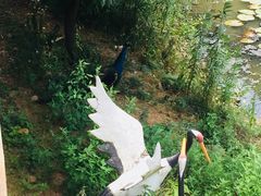 -无锡动物园·太湖欢乐园