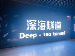 -秦皇岛新澳海底世界