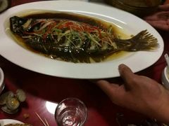 -小叶大馅饺子城