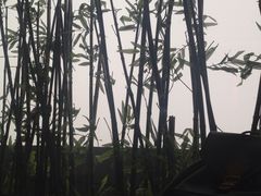 绿地洲际酒店地平线全日餐厅-洲际酒店·地平线全日餐厅HORIZON CAFÉ