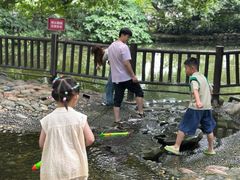 -成都市活水公园