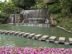 -成飞公园