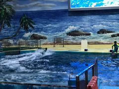 -福州罗源湾海洋世界旅游区