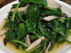 -五观堂素食(新华路店)