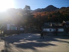 -阳台山自然风景区