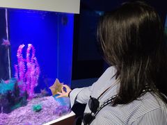 -蓬莱欧乐堡海洋极地世界