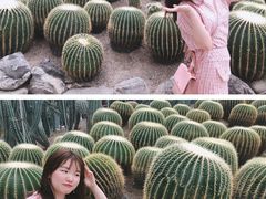 -南山植物园