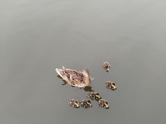 -前关湿地公园