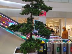 -凯德广场(学府店)