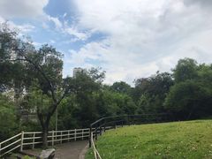 -晓港公园