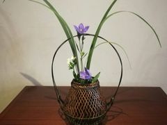 -白鹭原茶艺馆