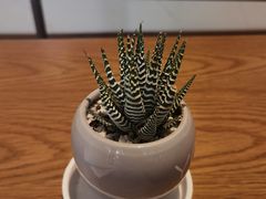 -Peet's Coffee皮爷咖啡(万象天地店)