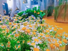 -100家灵感仓库·DIY团建(什刹海店)