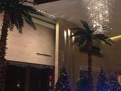 -常州环球恐龙城维景国际大酒店