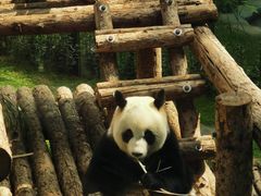 -大连森林动物园