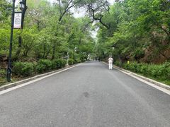 -北山公园