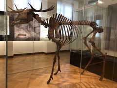 -丹麦国家博物馆