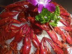 -京悦南门涮羊肉·羊蝎子火锅(田林路店)