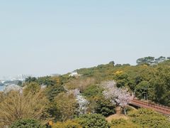 -立新湖公园