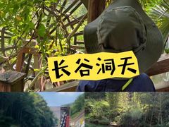 -阿露佳·舌尖上的安吉菜