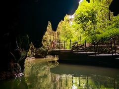 -怀托摩萤火虫洞