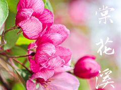 -海棠花溪(元大都城垣遗址公园)