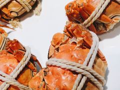 -杨氏青龙虾·羊蝎子(金盛路总店)