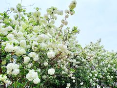 -大龙山(地铁站)