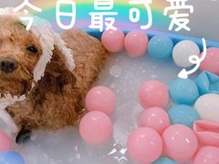 -转角宠物(转塘方家苑店)