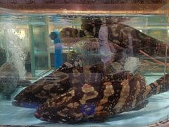 -阿伟海鲜楼·福建菜(延寿店)