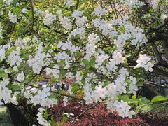 -浙江大学(玉泉校区)