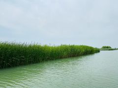 -苏州太湖国家湿地公园
