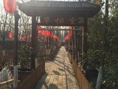 -草根堂农场