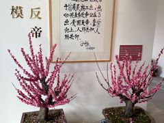 -无锡梅园公园