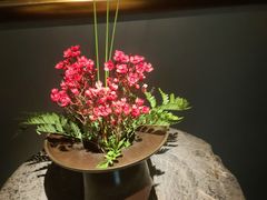 -觀芷隐轩·宋宴(河坊街店)