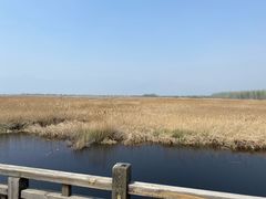 -野鸭湖国家湿地公园