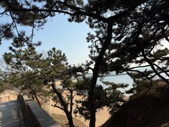 -青岛第二海水浴场