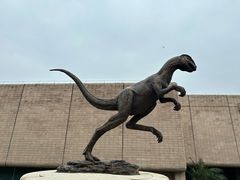 -自贡恐龙博物馆