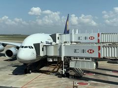 -德国汉莎航空公司