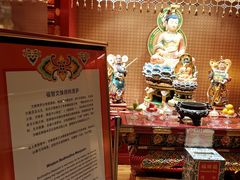 -新加坡佛牙寺龙华院