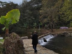 -广州市石门国家森林公园