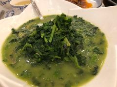 上汤万年青-银都上海菜馆(粤海东路店)