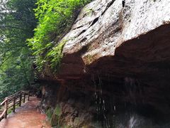 -赤水丹霞旅游区·佛光岩