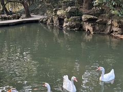 -兰亭风景区