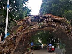 -半坡国际艺术区