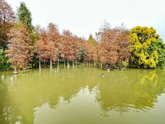 -海珠湖公园